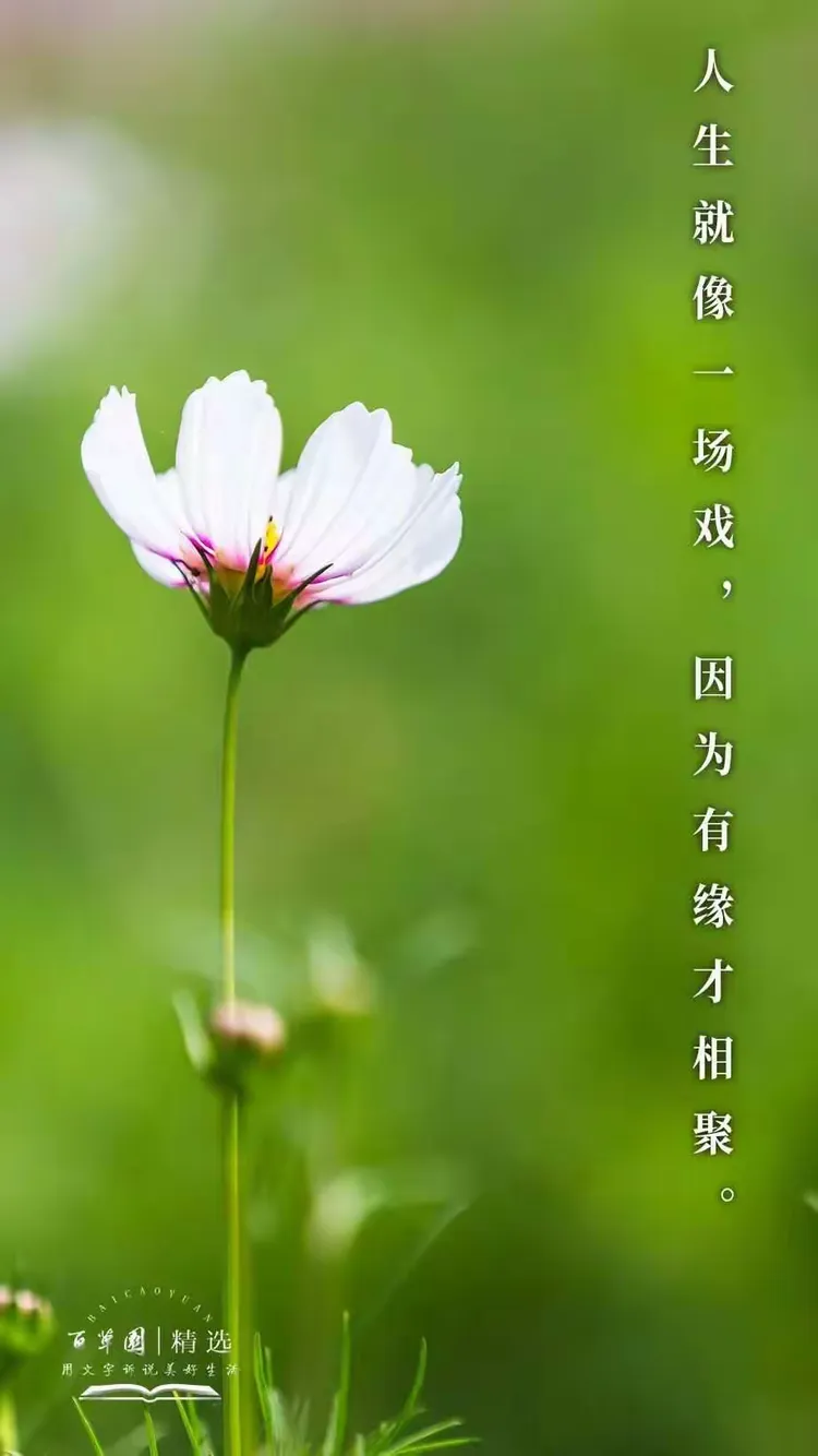 2025年9月 第14页