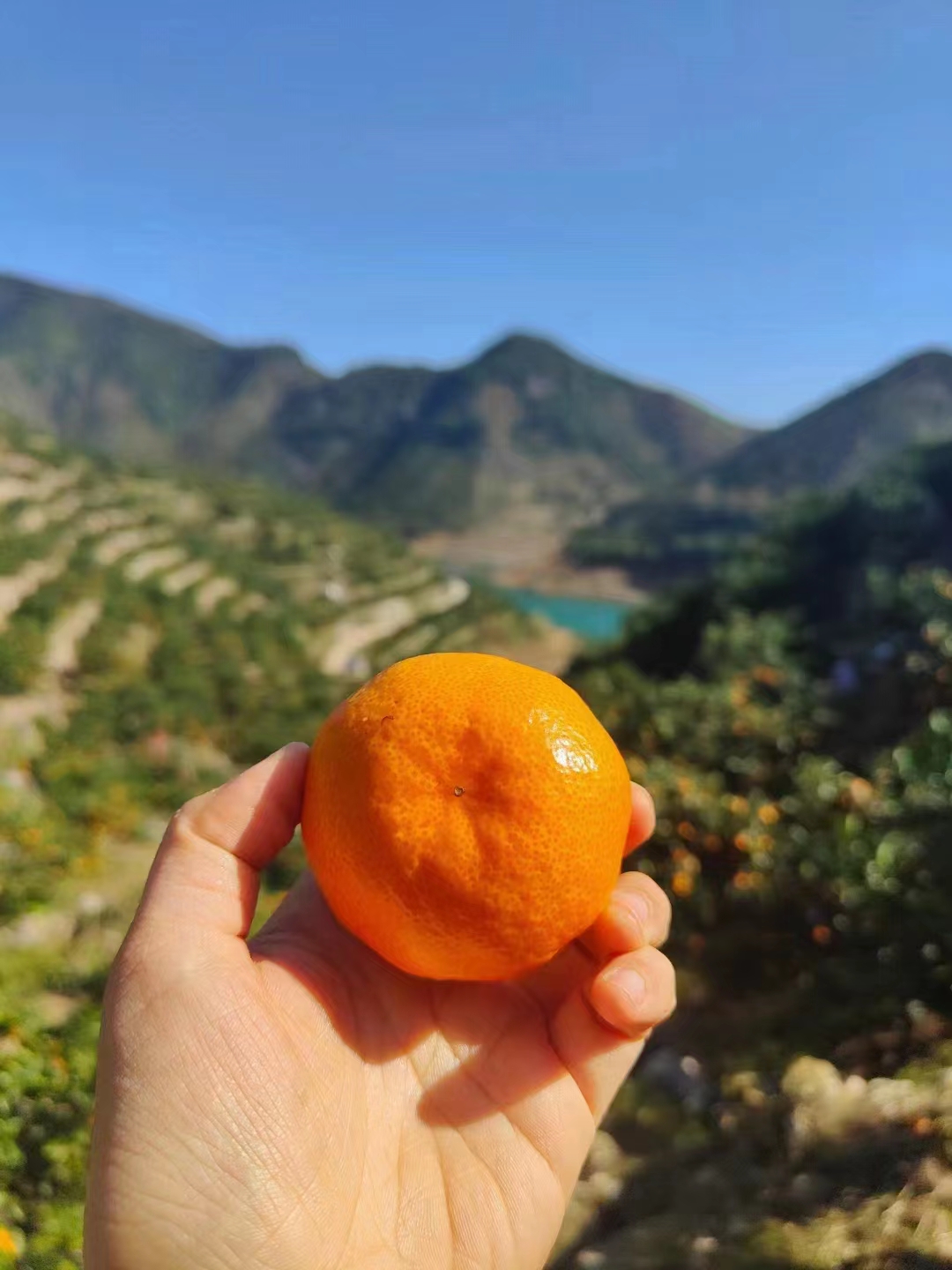 360软件宝库